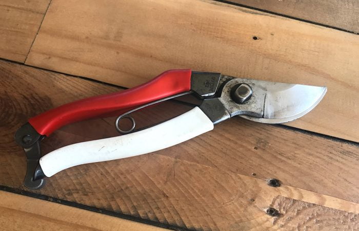 A pair of garden ninjas secateurs