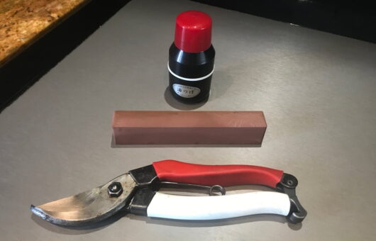A set of secateurs