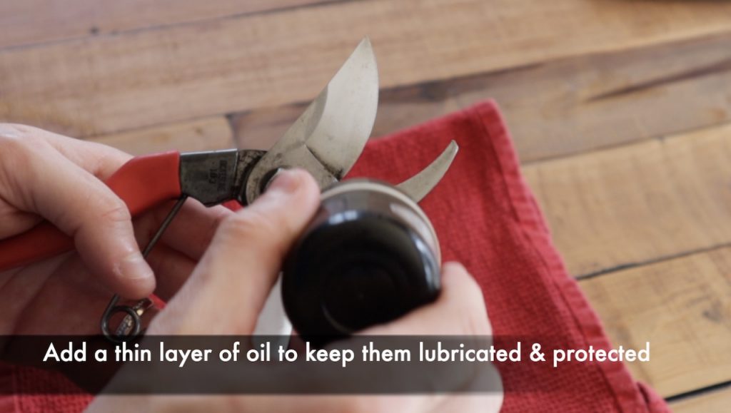 Oiling sharpened secateurs