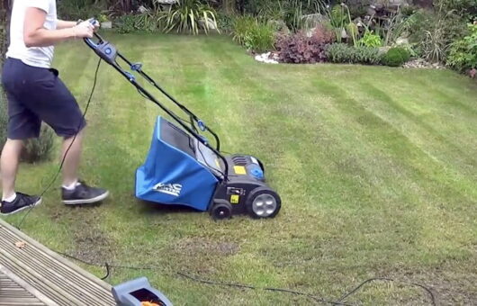 Scarifying a lawn with a powered scarifier