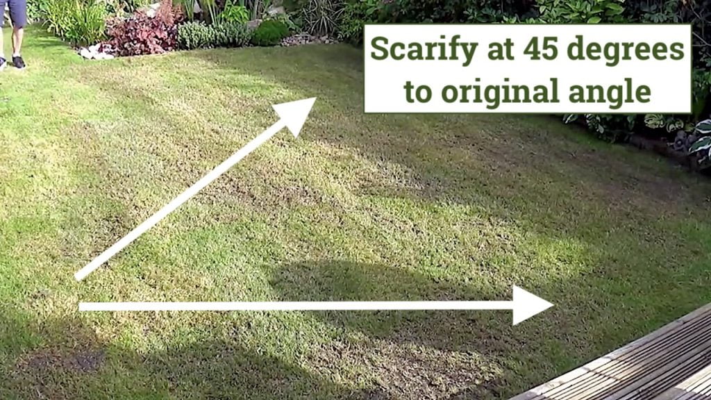 The correct angle to scarify a lawn