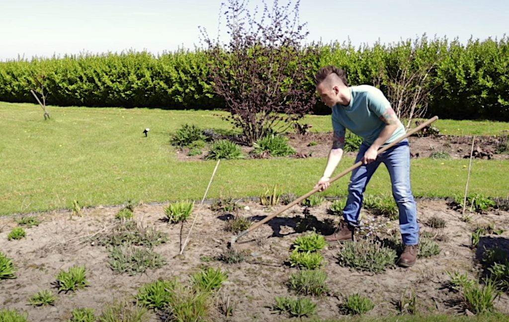 Using an oscillating hoe