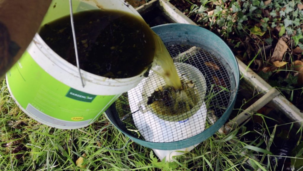 Sieving off comfrey tea