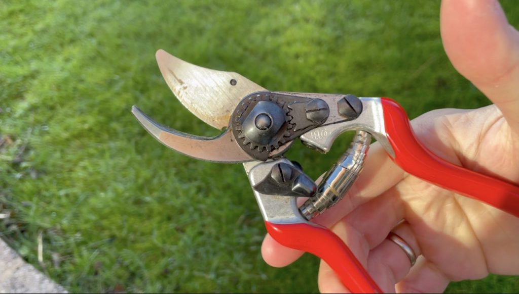 Clean sharp secateurs