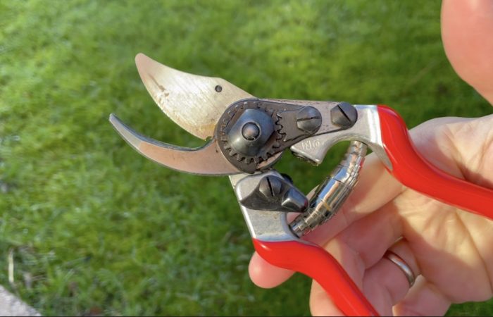 Clean sharp secateurs