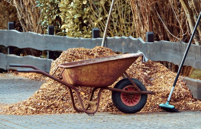 Winter wheelbarrow full of leaves