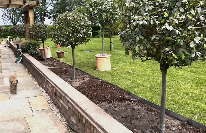 Lawn edging in a garden