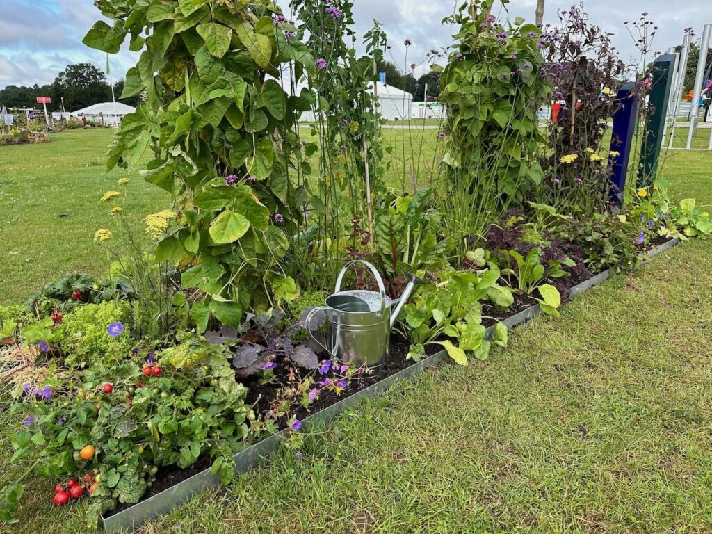 The allotment border at RHS Tatton