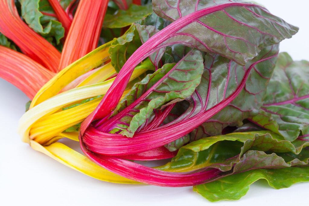 Brightly coloured rainbow chard