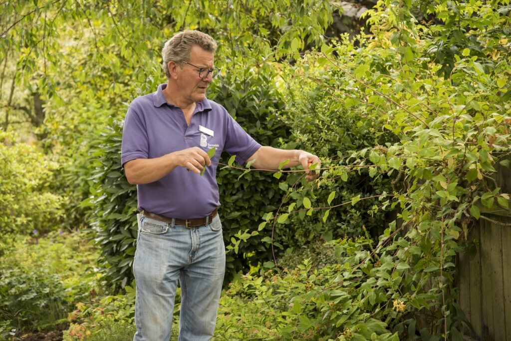 Nick Hamilton Peat Free Gardening Guide