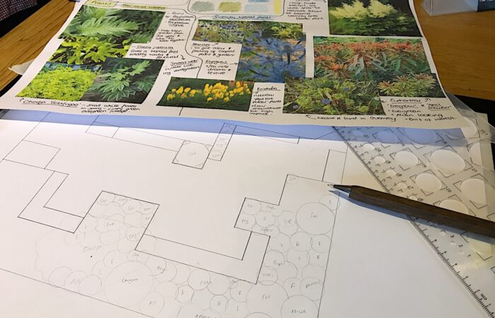 Using a template to draw up plants