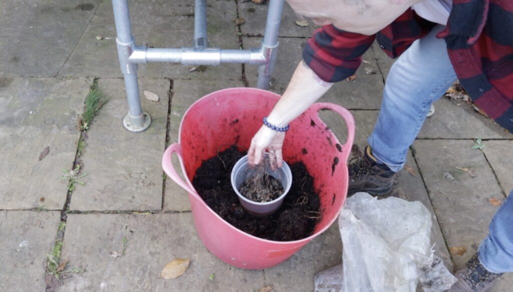 Potting mix for hardwood cuttings