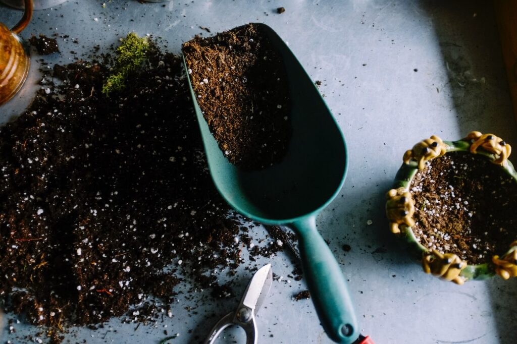 Seed compost on a scoop