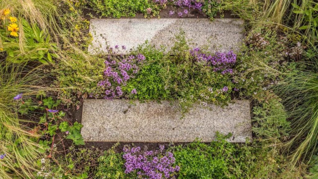 Alternatives to fake grass