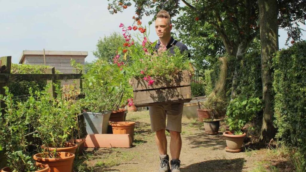 Garden Ninja carrying a crate of plants