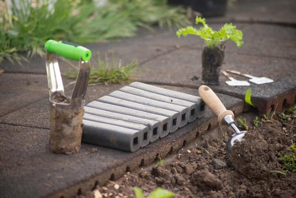 How to plant bulbs