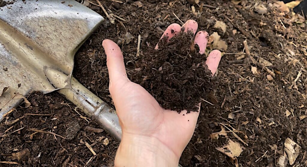 A handful of compost