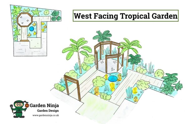 West facing tropical garden