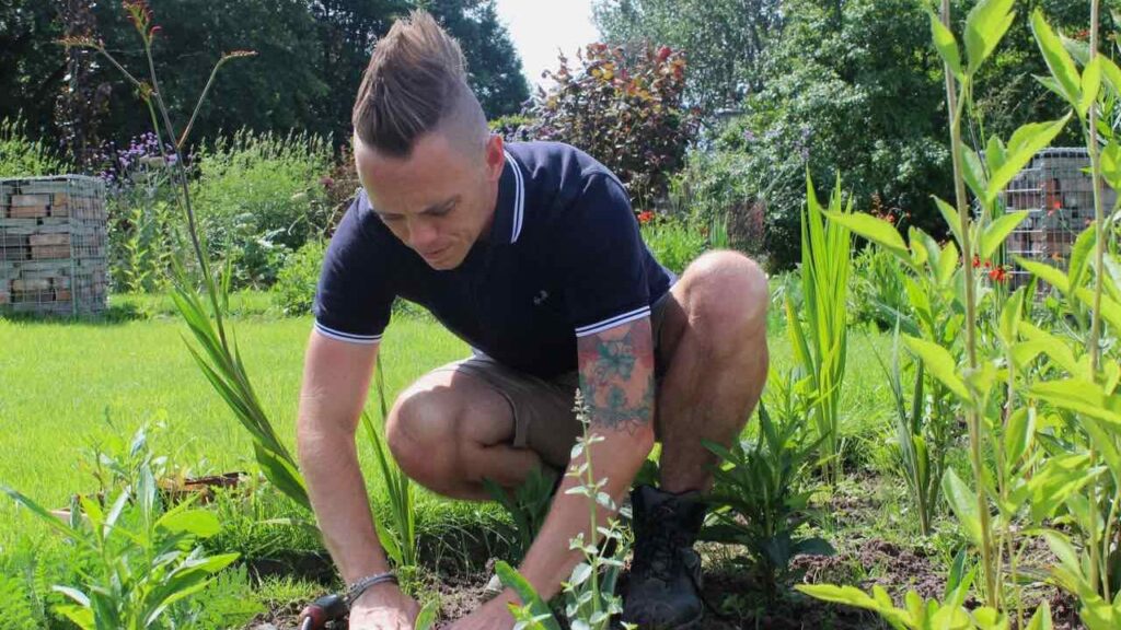 Garden ninja Lee Burkhill planting a border with seedlings