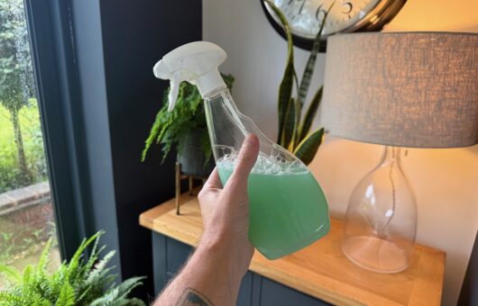 Soap spray for pests