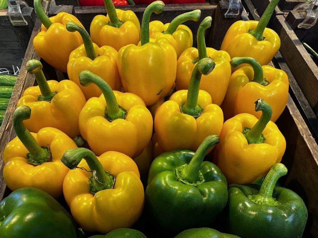 How to grow peppers