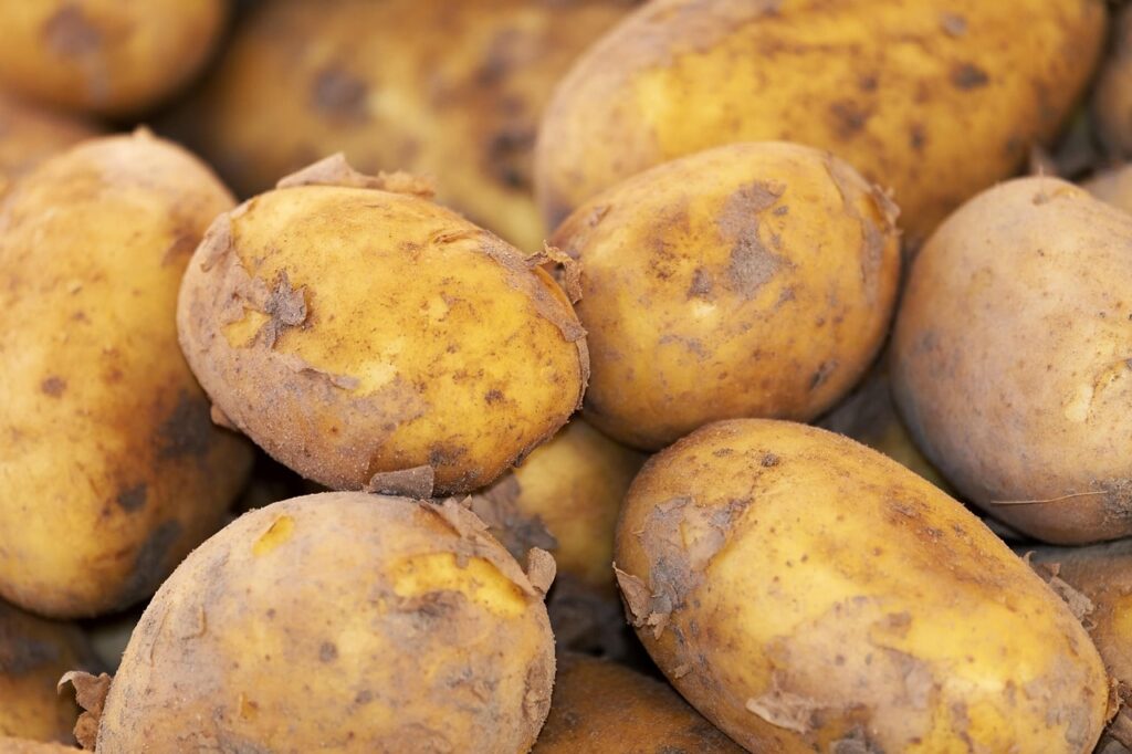 How to grow potatoes for beginnes
