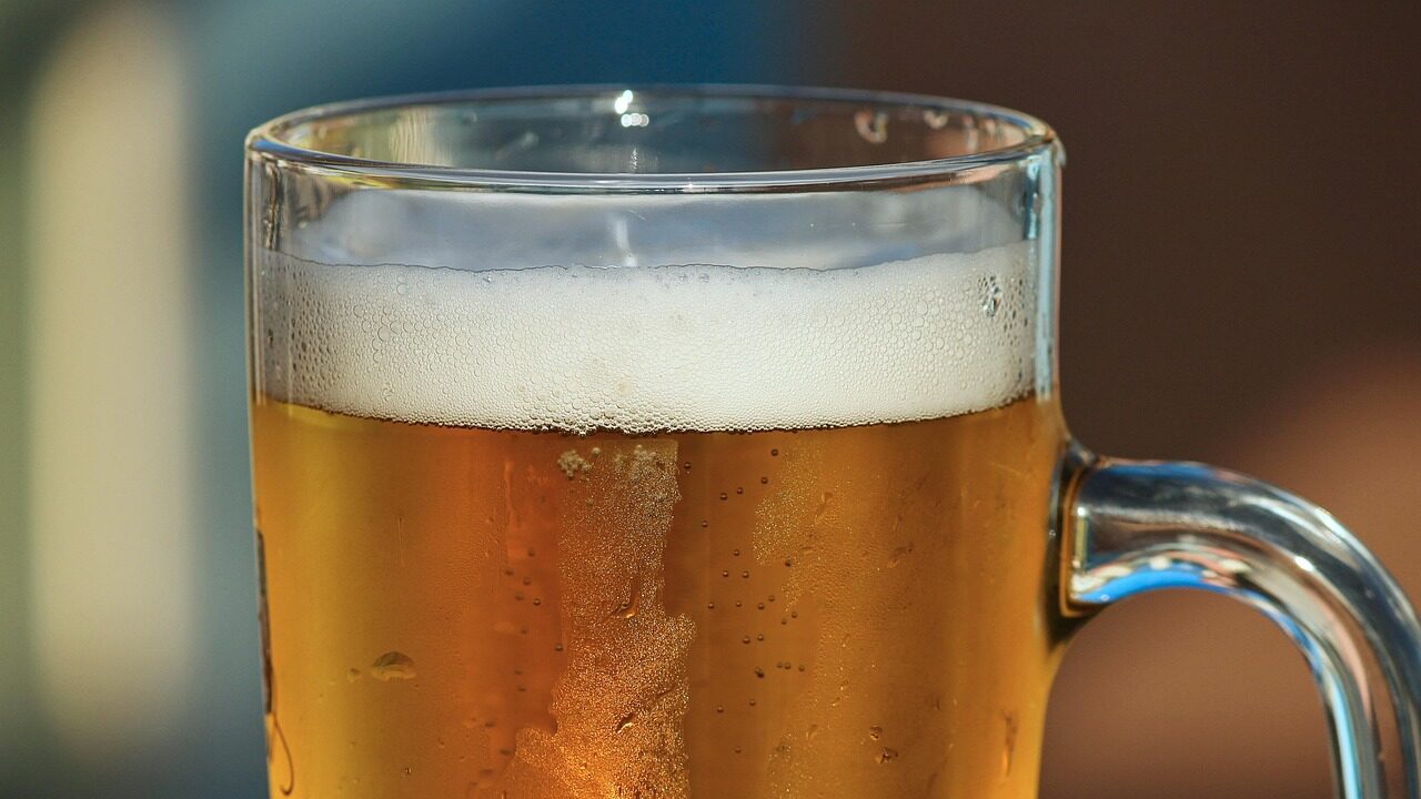 How to set beer traps for slugs