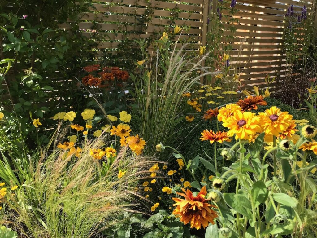 The best yellow flowers guide