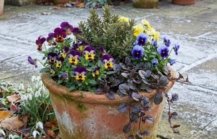 Layering of winter containers