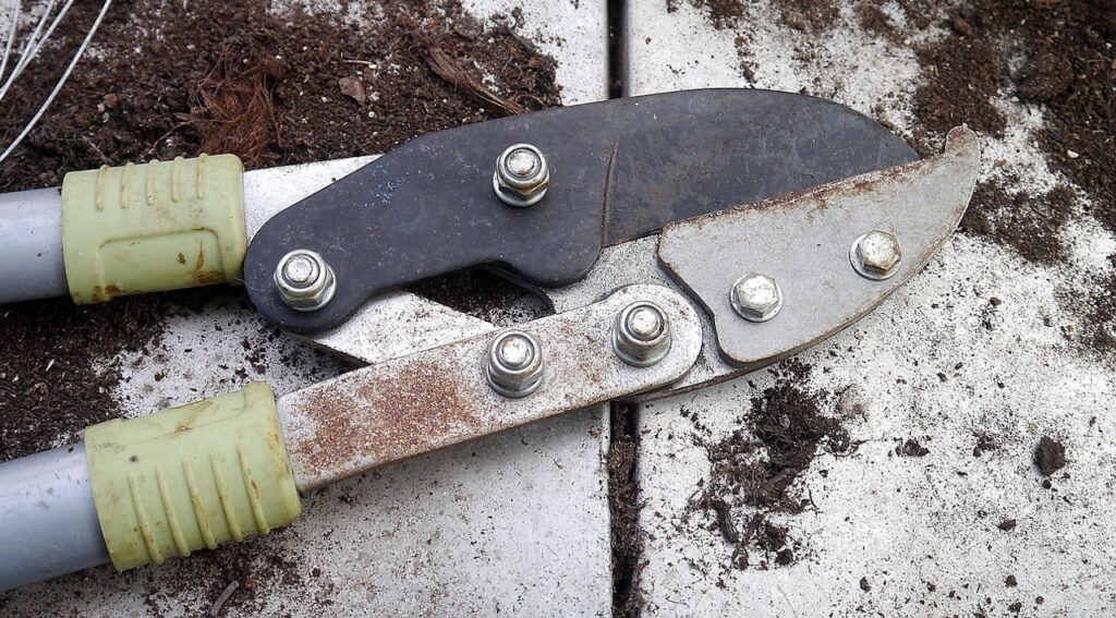 Garden loppers for thick branches