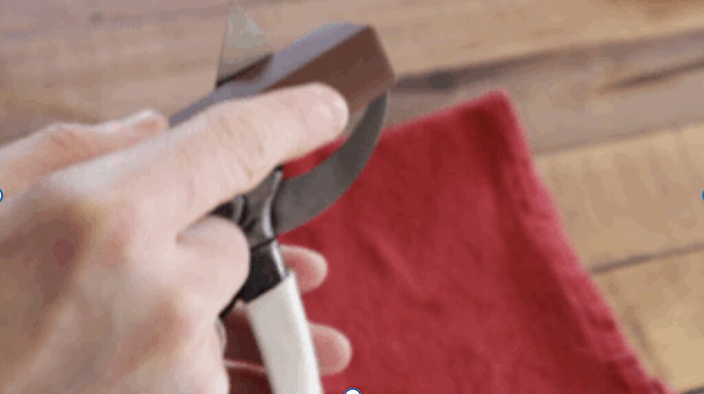 Finishing sharpening secateurs