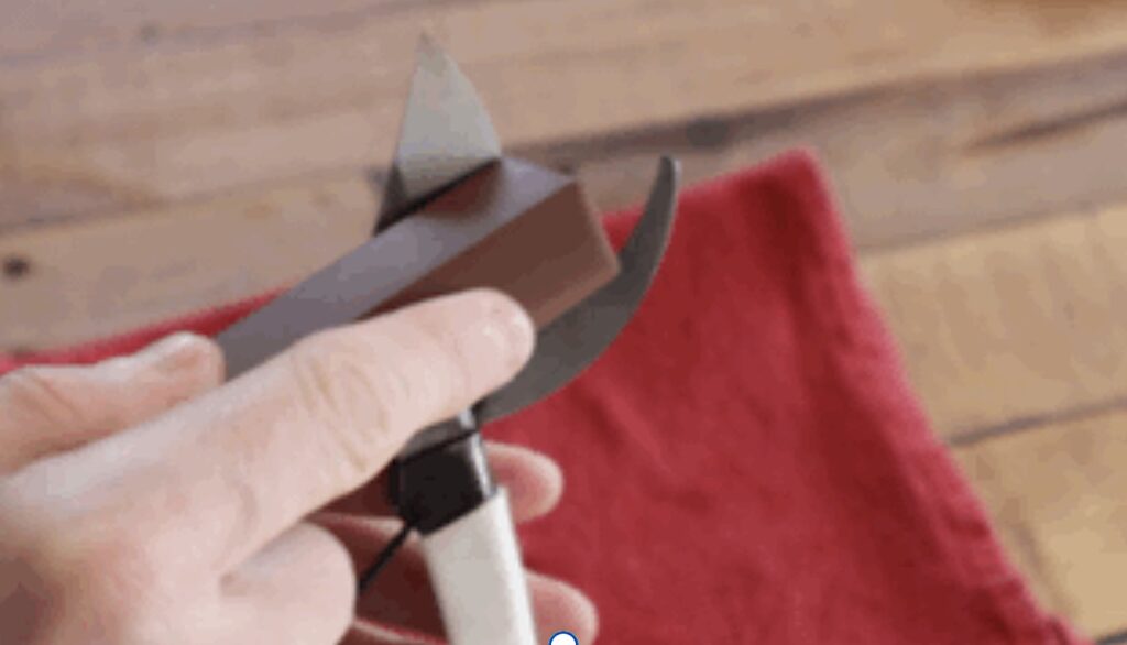 Sharpening secateurs