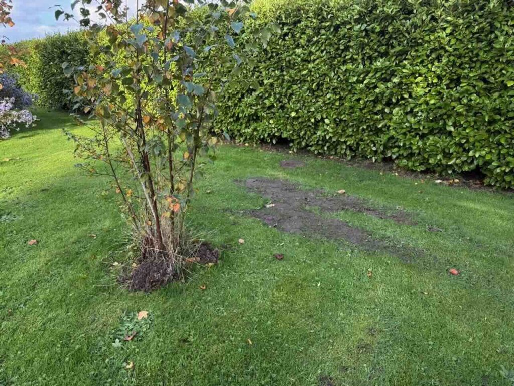 raking over molehills