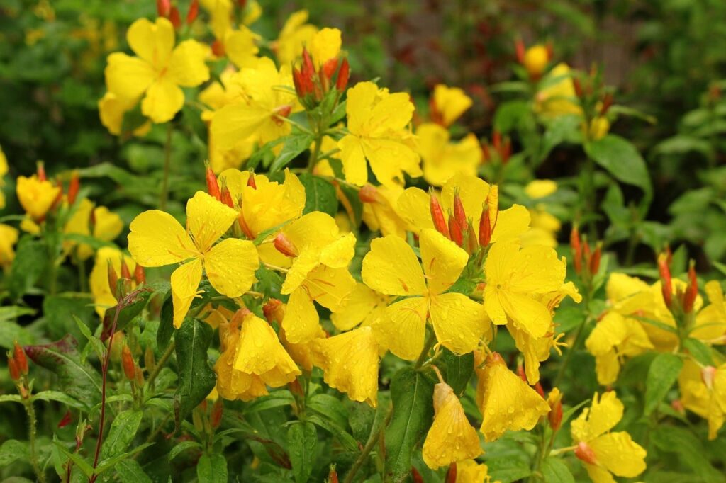 Yellow flower guide