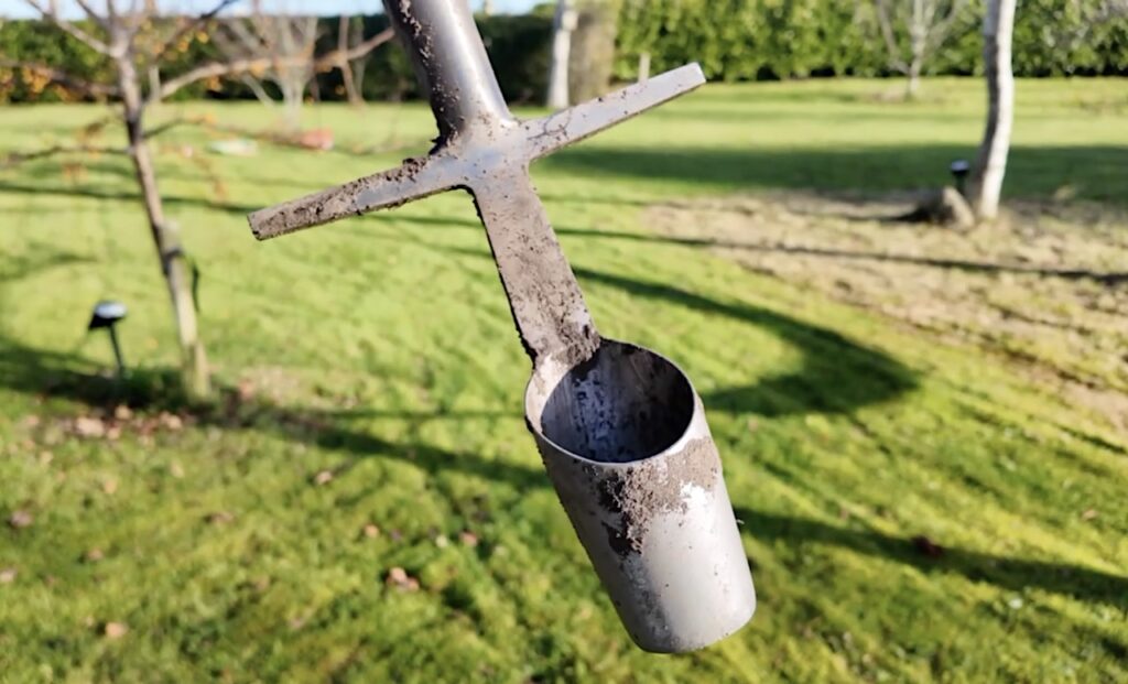 A metal daffodil bulb planter