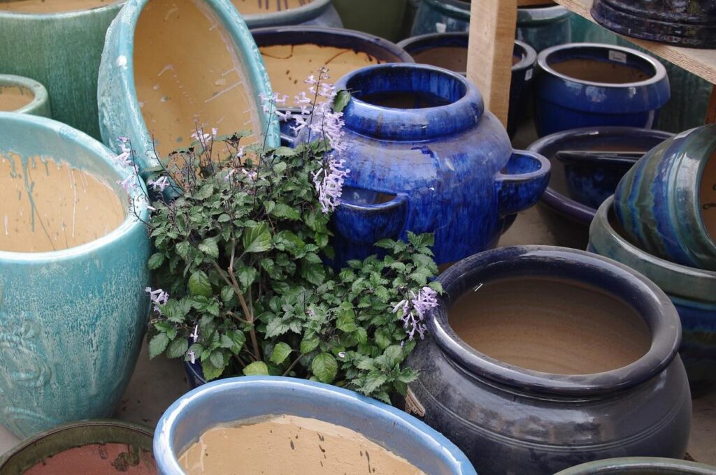 Ceramic plant pots