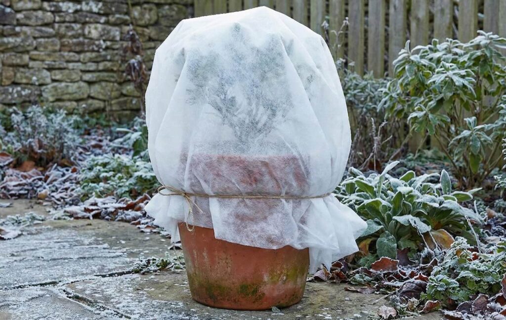 Horticultural fleece