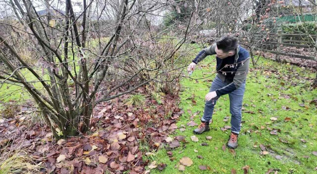 Lee burkhill january pruning guide